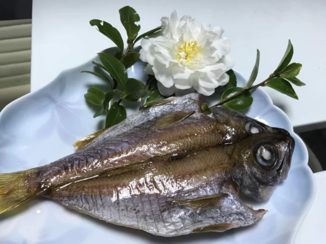 【地域専用】”クロムツ”　ホクホク鮮魚一夜干し　(税込) 冷凍