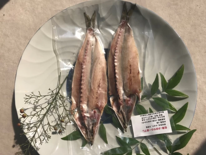 【地域専用】”カマス”　ホクホク鮮魚一夜干し　(税込) 冷凍