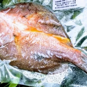【地域専用】”アカイサキ”　ホクホク鮮魚一夜干し　(税込) 冷凍