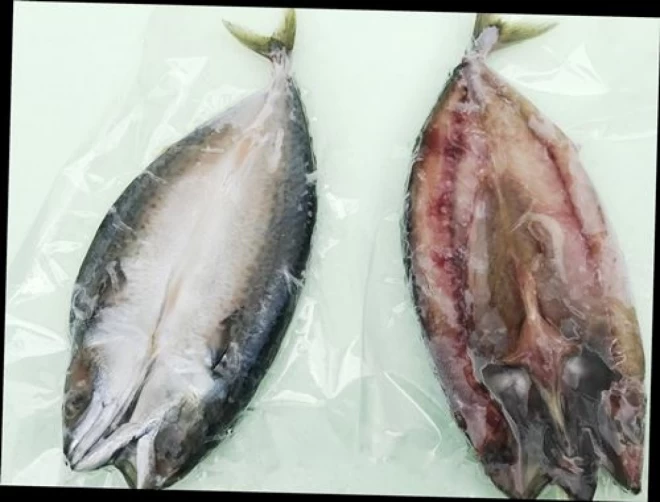 【地域専用】”サバ”　ホクホク鮮魚一夜干し　(税込) 冷凍