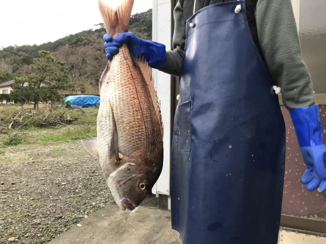 旬魚８千円ボックス（税込み・送料別）魚種４種以上・合計５ｋｇ以上